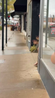 Ruffle V-Neck Mini Dress